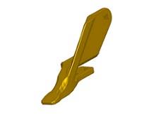 Universalzahn, Eckzahn rechts